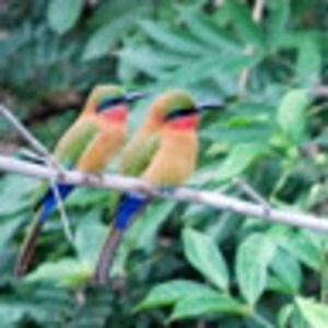 Meet your Posher, Sandy